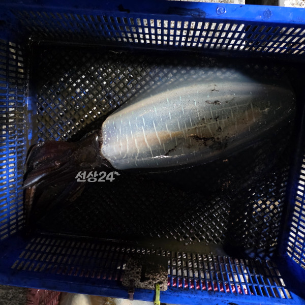 1000042855.jpg