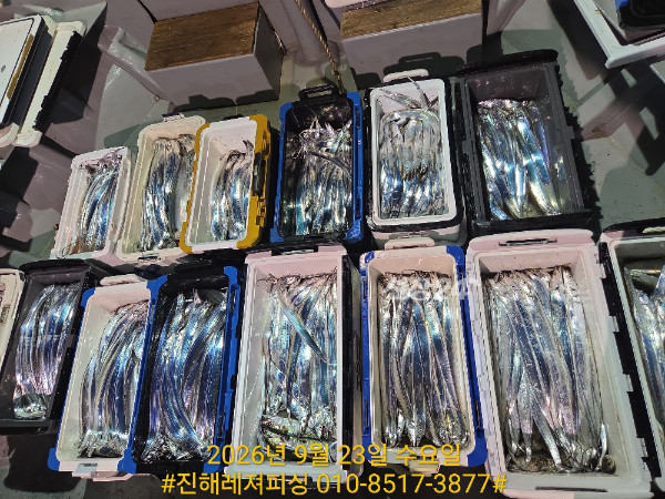 1000105317.jpg