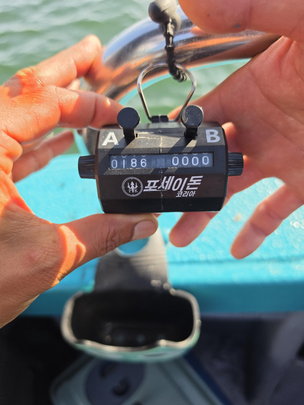 65596.jpg