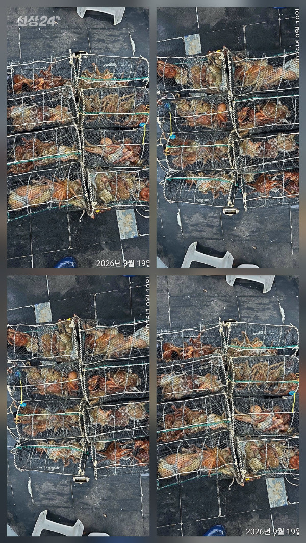 1000158940.jpg
