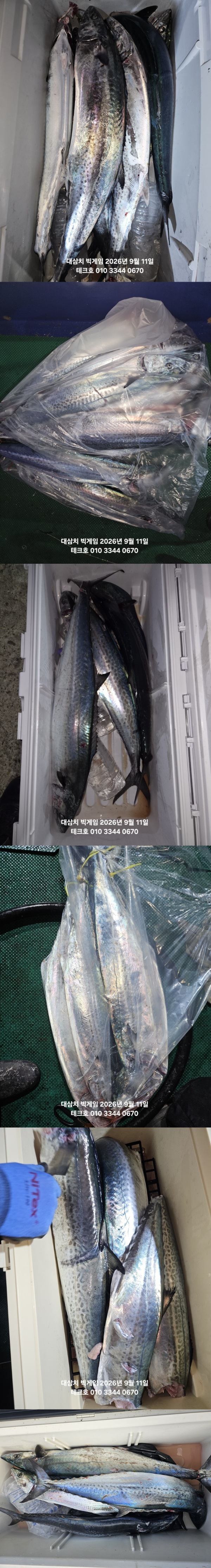 KakaoTalk_20260911_191950947_01-vert.jpg