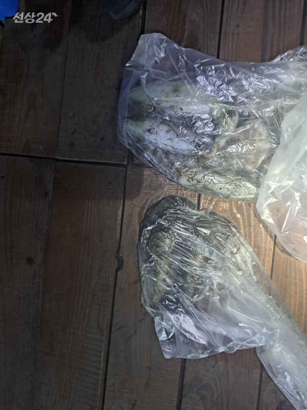 1790094052932.jpg