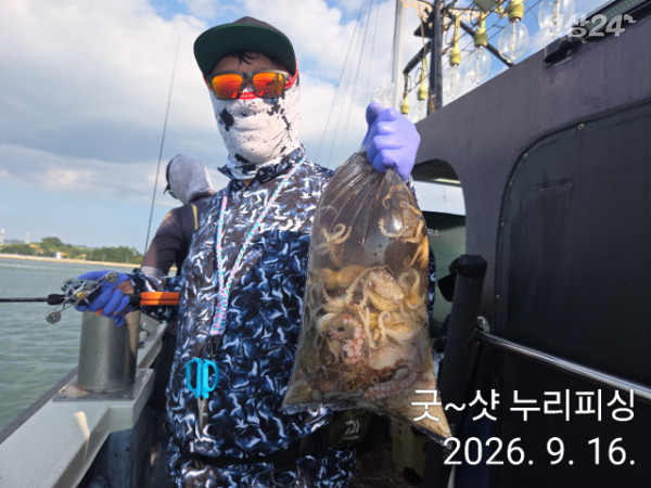 95180.jpg