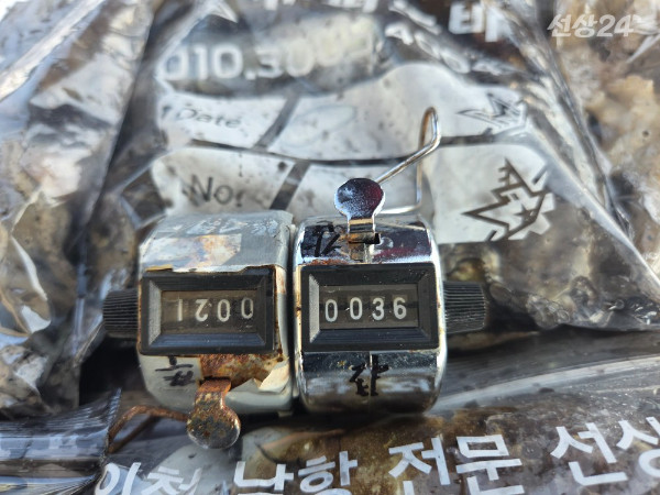 23852.jpg