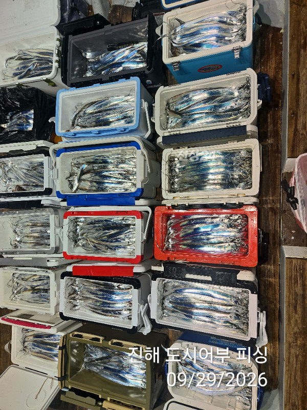 KakaoTalk_20260929_052220398_09.jpg