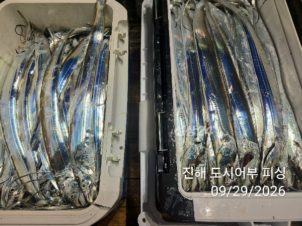 KakaoTalk_20260929_052220398_16.jpg