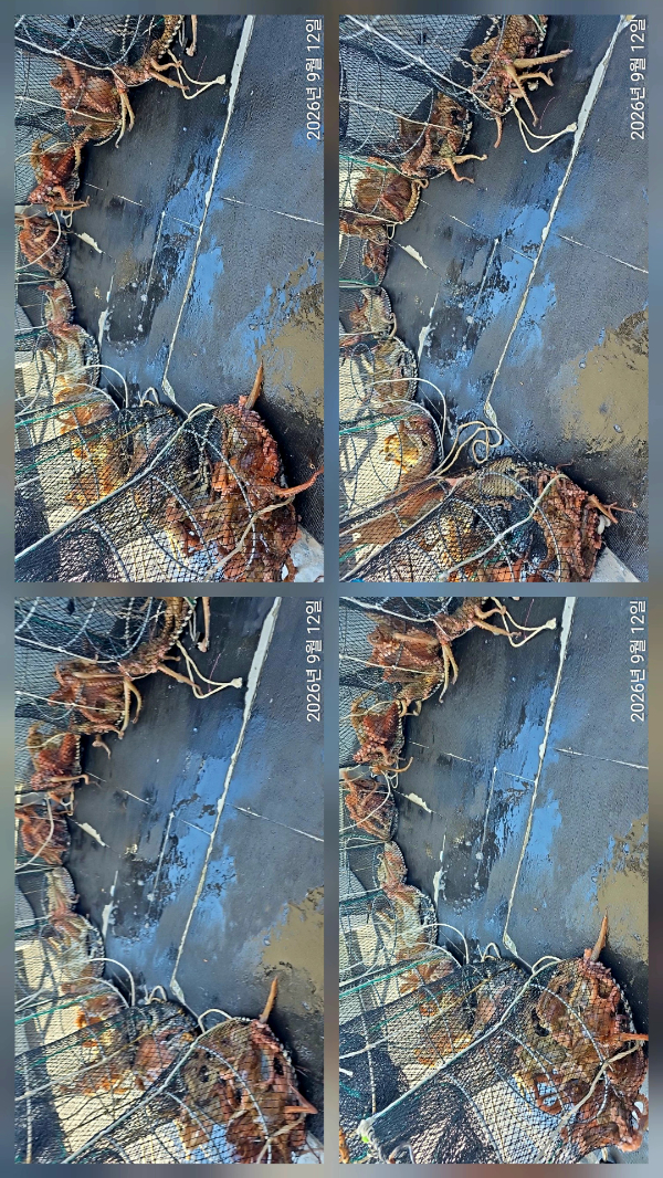 1000158382.jpg