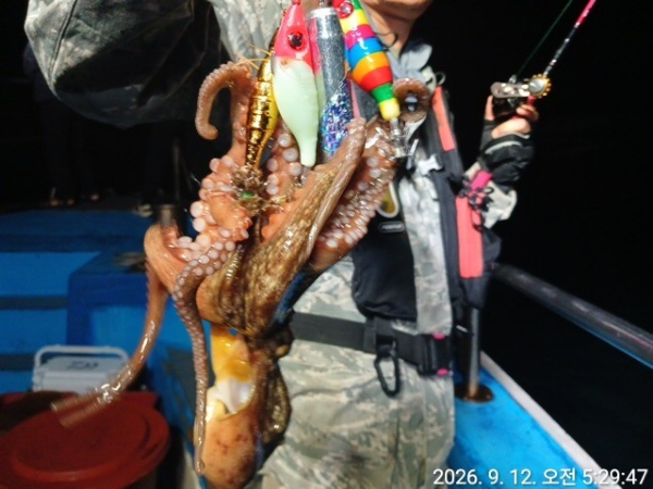 KakaoTalk_20260912_072859011.jpg