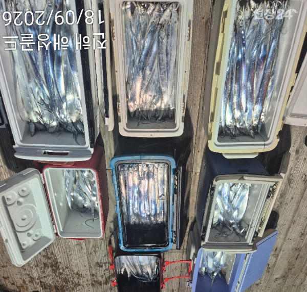 1789687568362.jpg