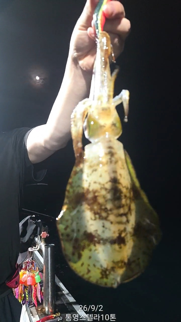 TimeVideo_20260902_235553.jpg