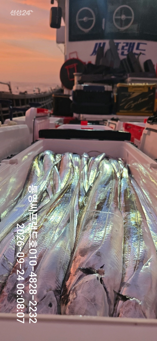 1790204148211.jpg