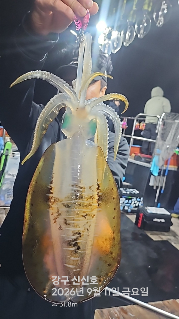 신신낚시 강구점 신신호_사진_20260912_8.jpg