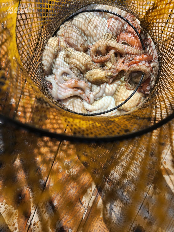 04350652-EC4D-49F9-85B5-ADF377908D3F.jpeg