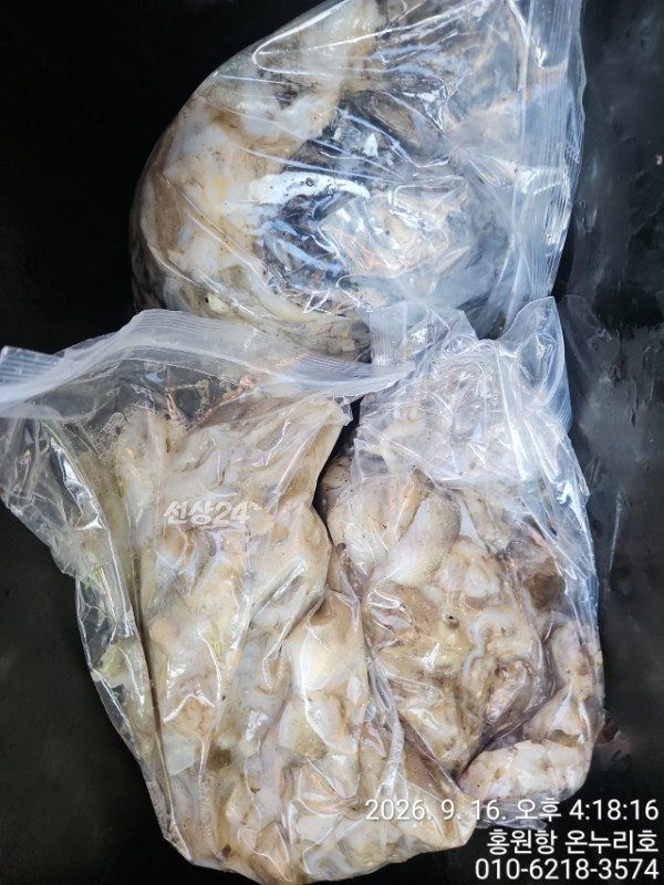 1280_TimePhoto_20260916_161816.jpg