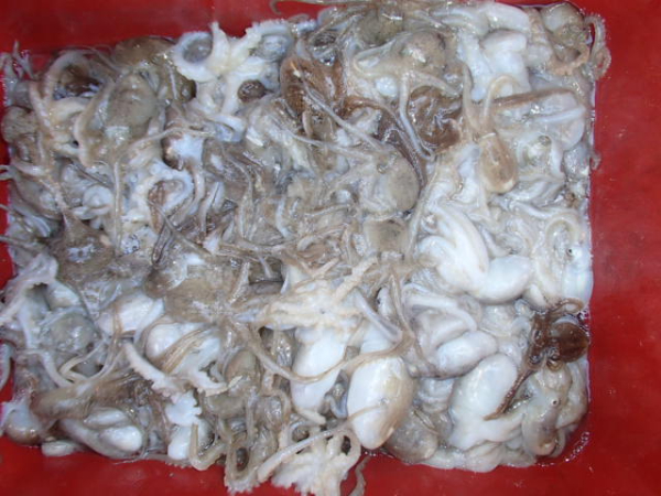 115.JPG