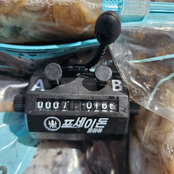 1000060021.jpg