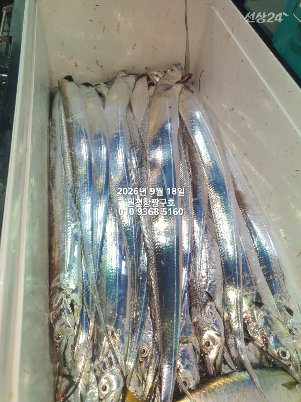 KakaoTalk_20260918_051131953_04.jpg