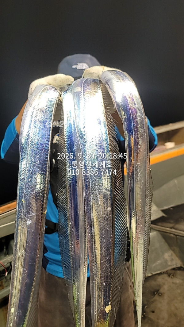 1790769709314.jpg