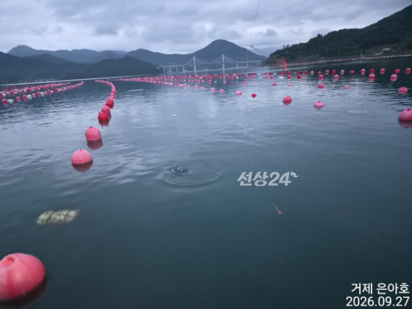 1000039197.jpg