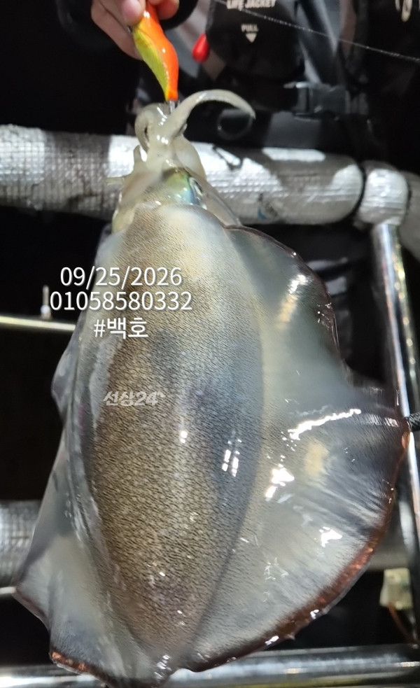 87860.jpg