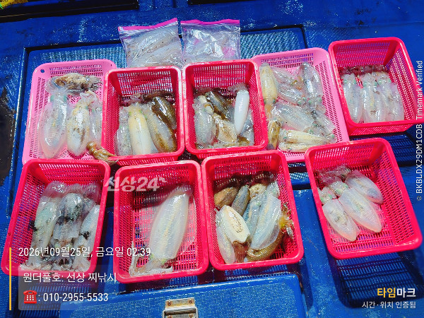 2026-09-25 02.39.53_(원더풀호-선상 찌낚시)_(-010-2955-5533).jpeg