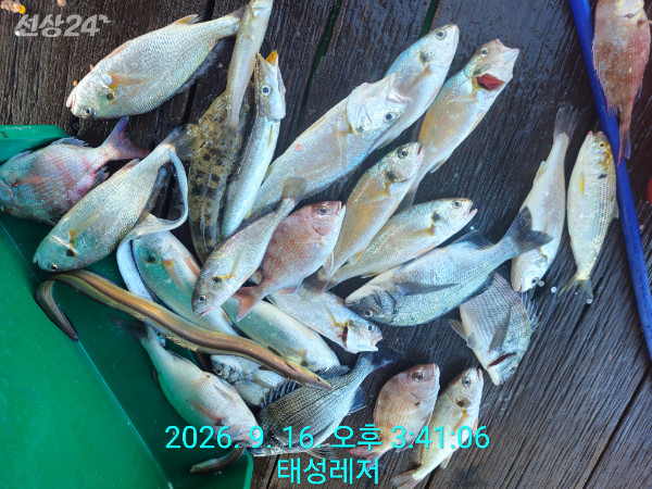 1000102471.jpg