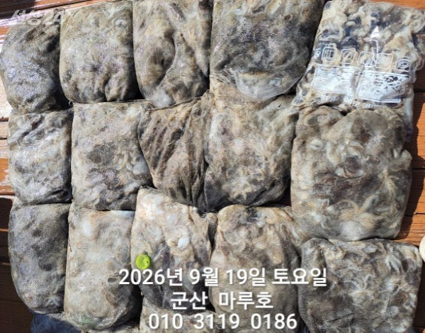 1000014696.jpg