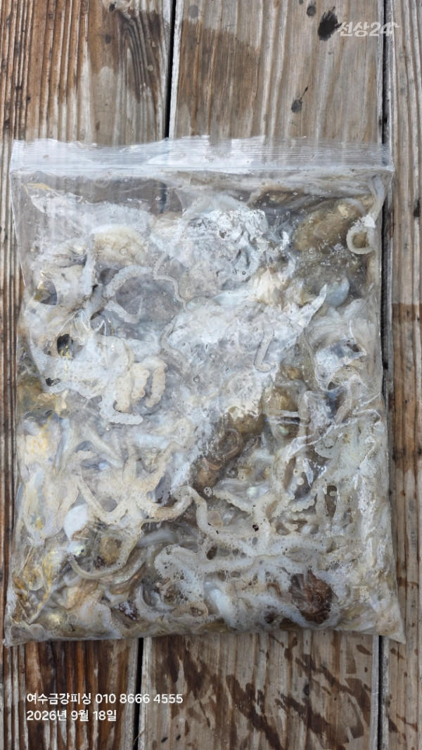 여수금강피싱_사진_20260918_18.jpg