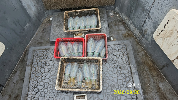 42215.jpg