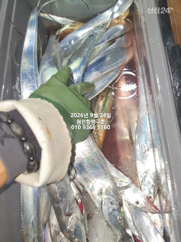 KakaoTalk_20260924_051010351_06.jpg