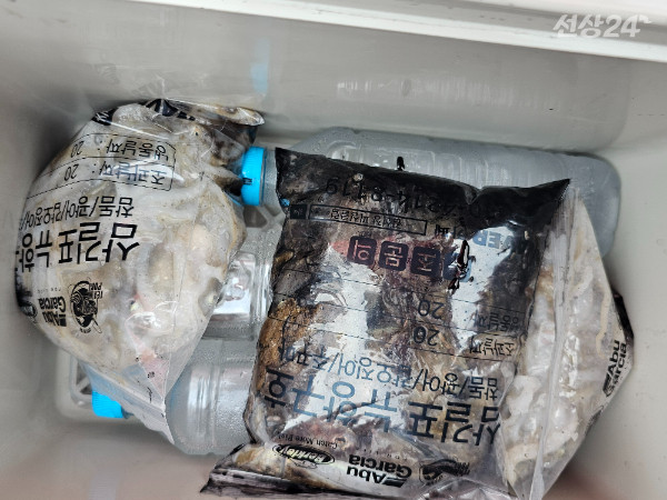 KakaoTalk_20260917_185510616_01.jpg