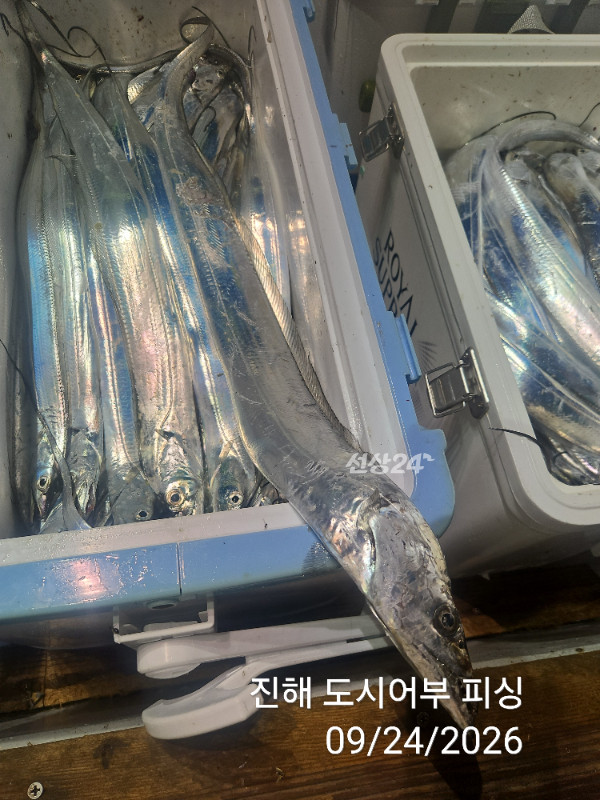 KakaoTalk_20260924_050456578_13.jpg