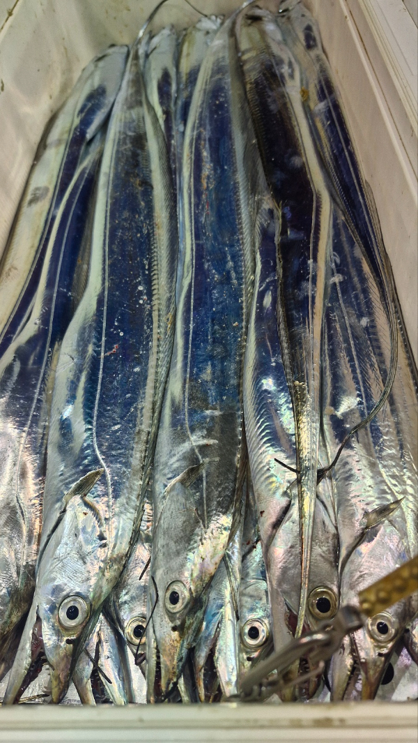 82883.jpg