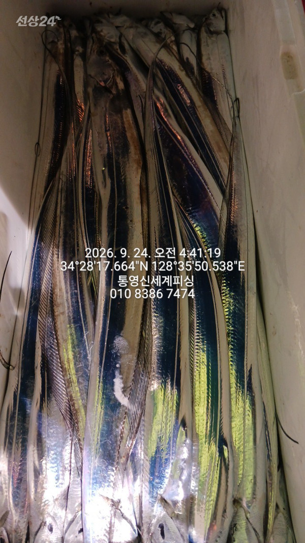 1790198900554.jpg