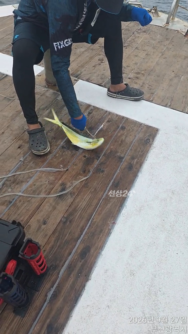 TimeVideo_20260927_103516.jpg
