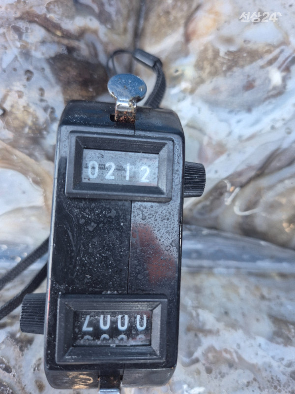 1000029644.jpg