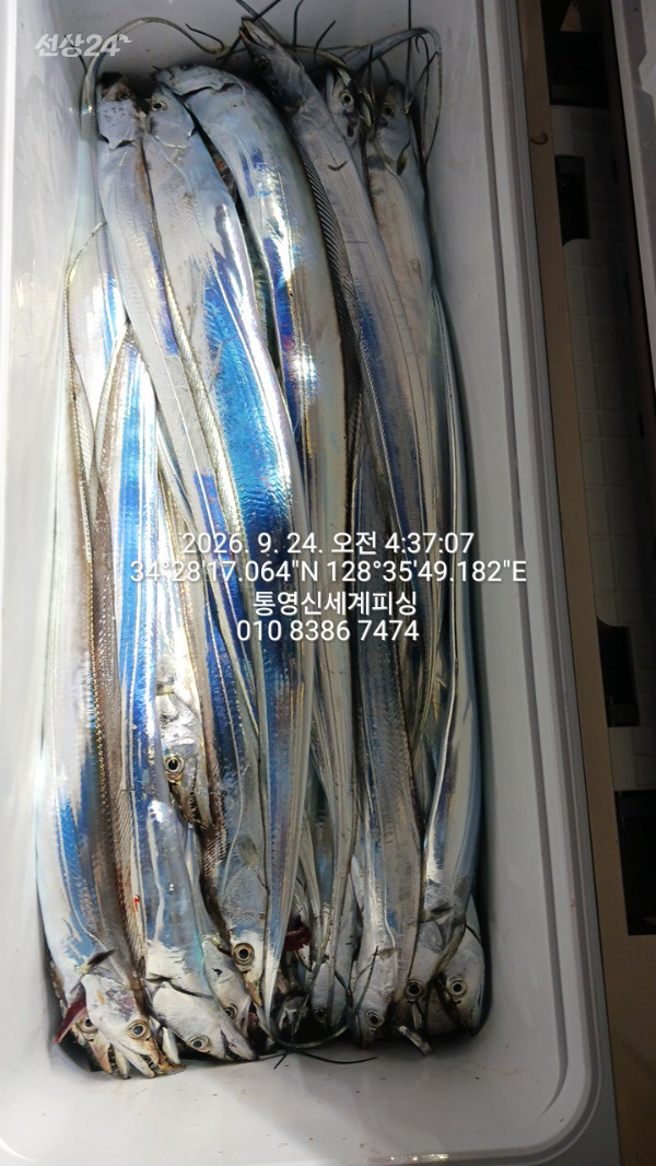 1790198901046.jpg