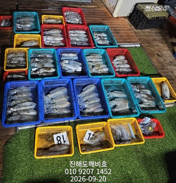 8330.jpg