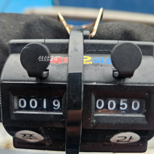 1000009703.jpg