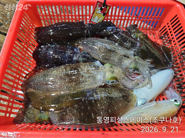 IMG_20260921_004211.jpg