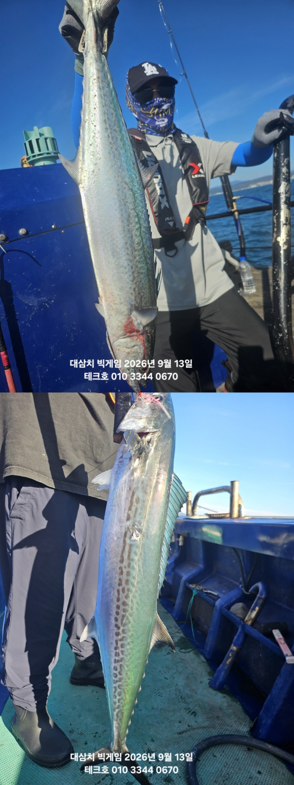 KakaoTalk_20260913_084619878_02-vert.jpg