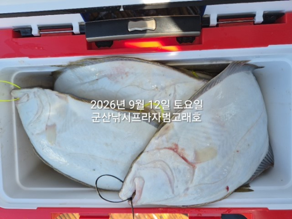 KakaoTalk_20260912_145049717.jpg