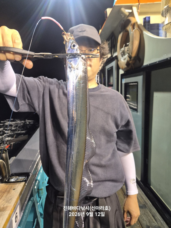 신아라호 한치 칼치 오징어_사진_20260913_3.jpg