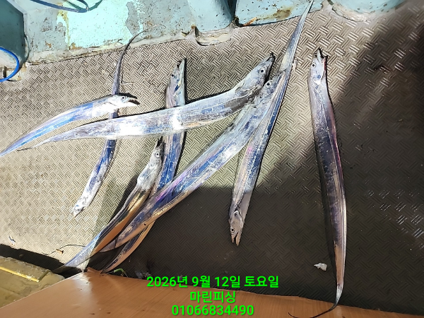KakaoTalk_20260912_083349136_15.jpg