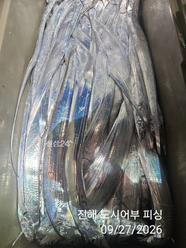 KakaoTalk_20260927_050422422_17.jpg