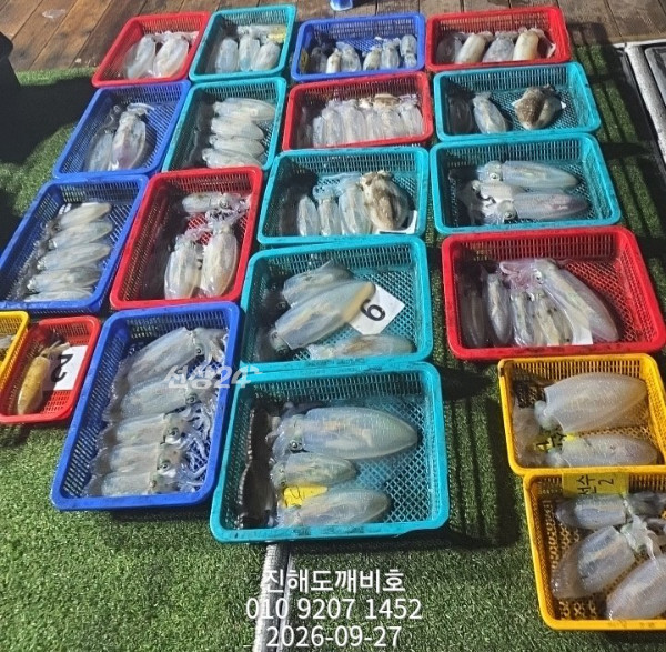 8638.jpg