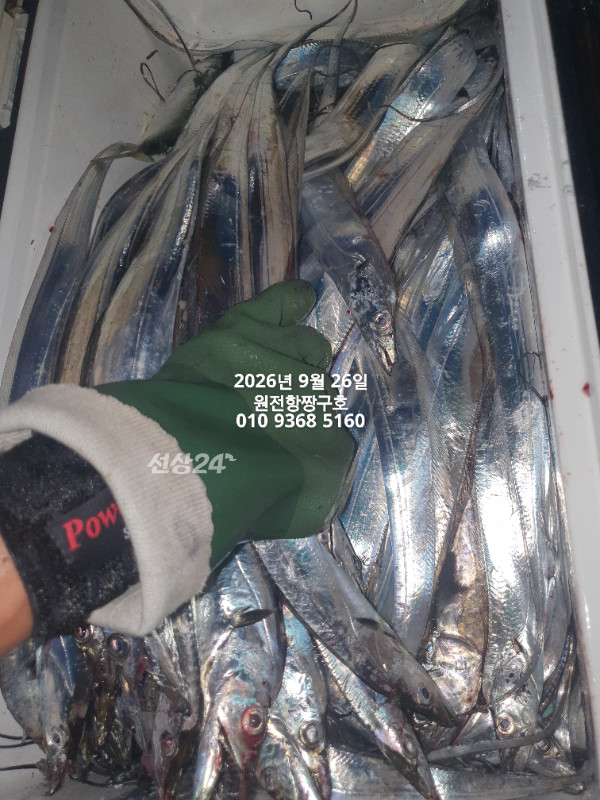 KakaoTalk_20260926_035150822.jpg