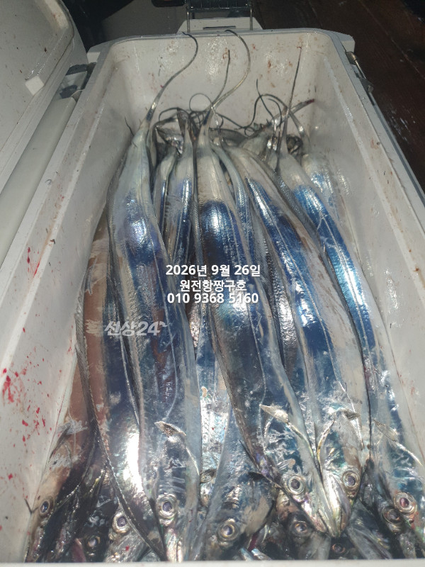 KakaoTalk_20260926_035150822_13.jpg