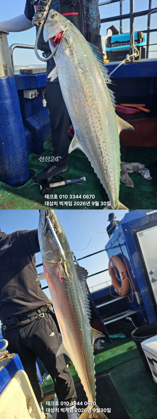 KakaoTalk_20260930_081926511_12-vert.jpg