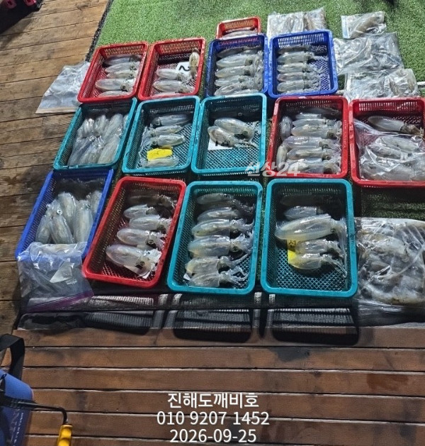 8384.jpg